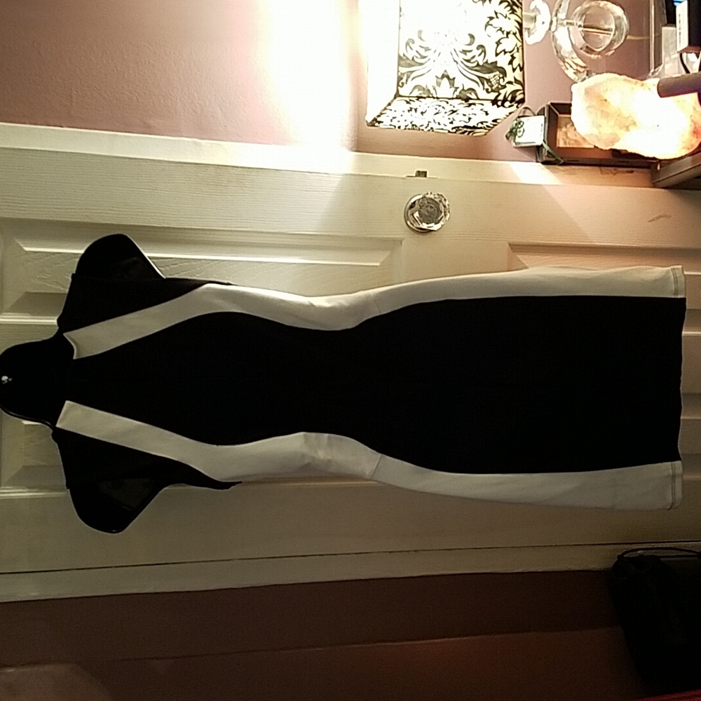 DAVID LERNER Colorblock Dress - Picture 6 of 7